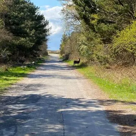 Family-friendly Near And Nature