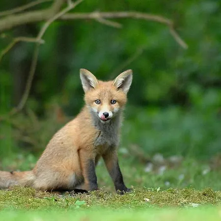 Family-friendly Near And Nature Сasa de vacaciones