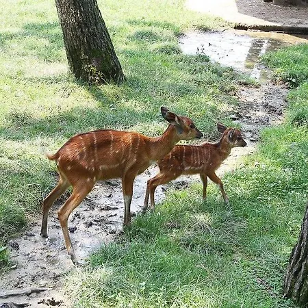 Family-friendly Near And Nature * Højby